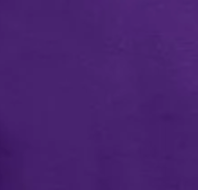 Load image into Gallery viewer, Victory IWR T-Shirt w/ White Font