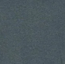 Load image into Gallery viewer, Victory IWR T-Shirt w/ White Font