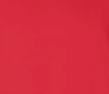 Load image into Gallery viewer, Victory IWR T-Shirt w/ White Font