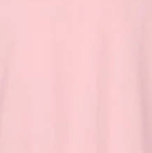 Load image into Gallery viewer, Victory IWR T-Shirt w/ White Font