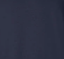 Load image into Gallery viewer, Victory IWR T-Shirt w/ White Font