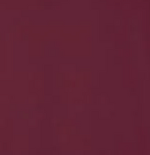 Load image into Gallery viewer, Victory IWR T-Shirt w/ White Font